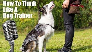 How To Think Like A Dog Trainer - Dog Training Podcast