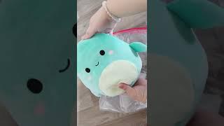 Squish Mail!  Loch Ness bundle #squishmallows #squishy #plushies #unboxing