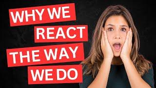 Why we react the way we do | JOE NAVARRO