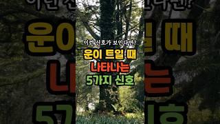 운이 트일때 나타나는 신호 #대운 #길운 #좋은글