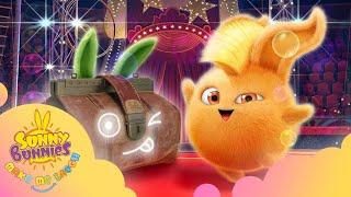 NEW Sunny Bunnies Make Me Laugh - MAGICIAN'S CASE | SEASON 1 | Kids Cartoons