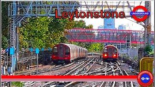 Tube and Bus Action at Leytonstone Station - London Underground (22/09/2023)