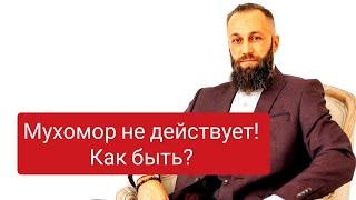 Мухомор Перестал действовать! Что делать? Как жить дальше? Велесогор