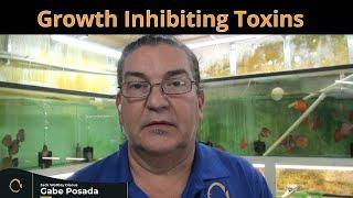 Growth Inhibiting Toxins In Discus Fish