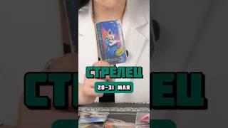 Стрелец ️ #таро #гороскоп #тарорасклады #таролог #зодиак #астрология #стрелецзнакзодиака