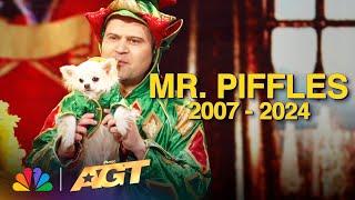 Our Favorite Mr. Piffles Moment | AGT