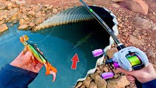 BIG FISH are hiding in unexpected places!! (Fishing + big surprise)