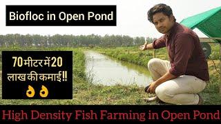 70 मीटर में 20 लाख की कमाई || Biofloc in Open Pond || High Density Fish Farming || Hello Kisaan