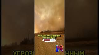 В Забайкалье тушат 36 природных пожаров, угрозы населённым пунктам нет