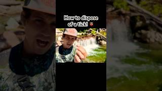 How To Properly Dispose Of A Tick  #shorts #survival