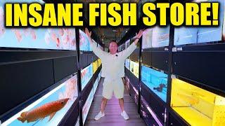 BRAND NEW aquarium store has incredibly HIGH END FISH! Asian arowana, discus and more! KING OF DIY