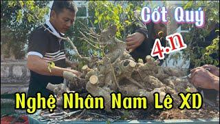 Quảng Tùng| Chia sẻ Quý vị một cốt sanh QUÝ của anh Bonsai Lễ đã được nghệ nhân Nam Lê Xd được 4n