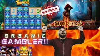 NEW GAMES! Tropical Tiki!!! Blood Suckers 2! Organic Gambler | Pulsz Casino