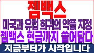 젬백스 주가전망 - 미국과 유럽 희귀의 약품 지정! 젬백스 현금까지 쓸어담다!