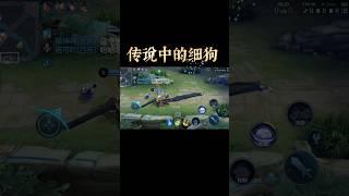 哇靠，这不就是传说中的细狗吗…