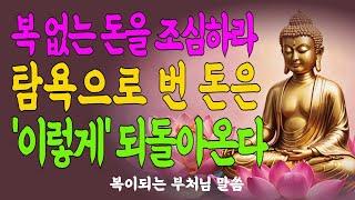 돈을 좇다, 마음을 잃다 #재물의지혜#자비로운삶#돈과마음 #불안에서벗어나기 #명상법문 #마음치유#내면의부자 #삶의지혜 #불교명상 #오디오북