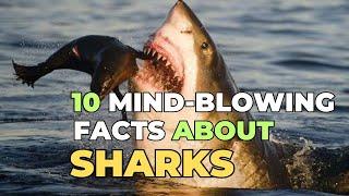 10 Mind-Blowing Facts About Sharks That Will Leave You in Awe