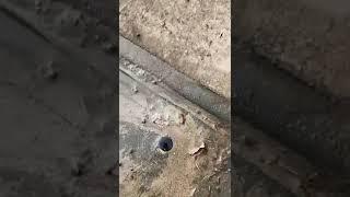 Emergency Fire Service Water Leak Detection in Heidelberg