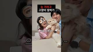 상금 만원 걸고 눈 가리고 만져서 고양이 이름 맞히기 ㅋㅋㅋㅋ