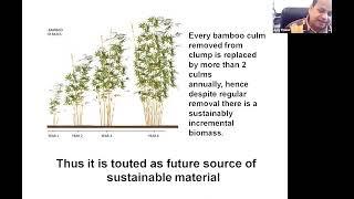 Propagation, Genetic Improvement and Cultivation of Bamboo in North India