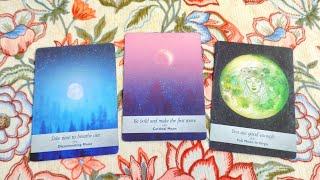 Tarot chọn tụ: LÝ DO GÌ KHIẾN BẠN NỔI BẬT GIỮA ĐÁM ĐÔNG? Tarot Xuân Thúy