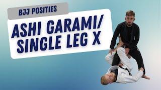 Single Leg X-guard / Ashi Garami - Haven BJJ Rotterdam