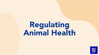 Animal Health | 60 Seconds of Legal Insights | Shook