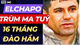 16 tháng đào hầm vượt ngục của trùm ma túy thế giới El chapo | Hộp Đen#6