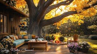 Autumn Garden Backyard under The Old Tree with Relaxing Jazz Music for Good Vibes 