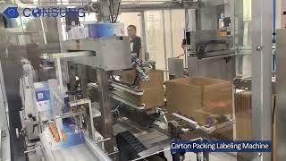 Carton Packing and Labeling Machine