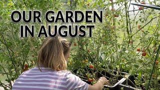 First Year Gardening: Failures & Wins | Vegetable Garden Tour in Finland