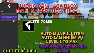 Hướng dẫn hack blox fruits update 21 trên điện thoại cho người mới - Cách hack max level siêu nhanh.