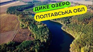 Дике Озеро. Карпфішинг на дикарі