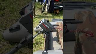 Yamaha 2  #лодки #моторы #река #природа #dog #yamaha