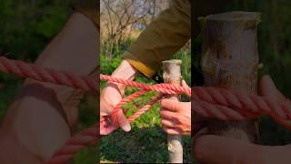 Amazing Survival Skills: Easy Knot #survival #bushcraft #camping  #outdoors #creative  #knot