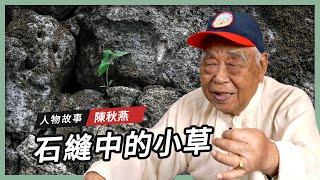 【人物故事】陳秋燕｜石縫中的小草