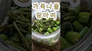 가죽나물 장아찌 담그는법/고기 좋아하는 집이라면 필수! #집밥 #장아찌 #가죽나물