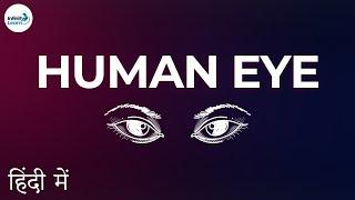 Light - Lesson 07 | Human Eye - Structure - in Hindi (हिंदी में ) | Don't Memorise