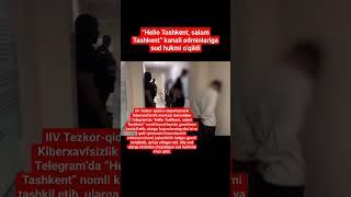 “Hello Tashkent, salam Tashkent” kanali adminlariga sud hukmi o‘qildi #shorts #short