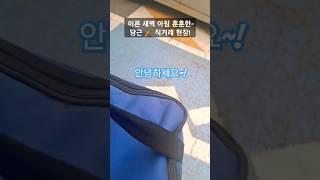 #이른새벽아침당근마켓#훈훈한직거래현장#당근마켓브이로그#당근마켓#기분좋은당근거래#거래성공#당근직거래현장 