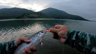 შამაია სიონზე, მონსტრების თარეში. select sprint -  sv fishing