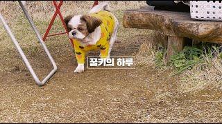 오랜만에 꿀키의 하루