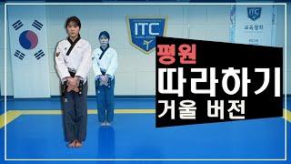 Pyongwon poomsae Mirror mode