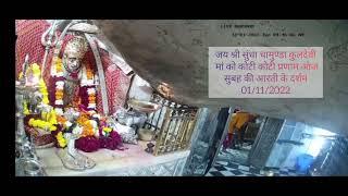 01/11/2022 sundha maa ki Aarti जय श्री सुंधा चामुण्डा कुलदेवी मां  आज सुबह की आरती के दर्शन