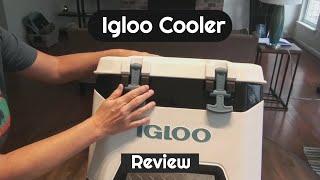 Top Rated Igloo Cooler 25QT