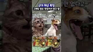 군대 해군 특징 #shorts #군대