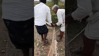 Villagers saving a wild Rabbit from the nets #rabbit #forest #trending #ytshorts