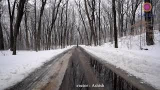 09. Mr  Stanlock Surprised II Campfire Girls In The Allegheny Mountains or, A Christmas Success Agai