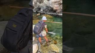 Amazing cast net fishing #nepalfishing #aadhikhola #fishinglife