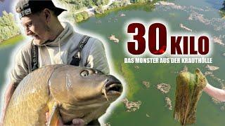 Das Monster aus der Krauthölle, Karpfenangeln nach der Laich // 30 Kilo Karpfen